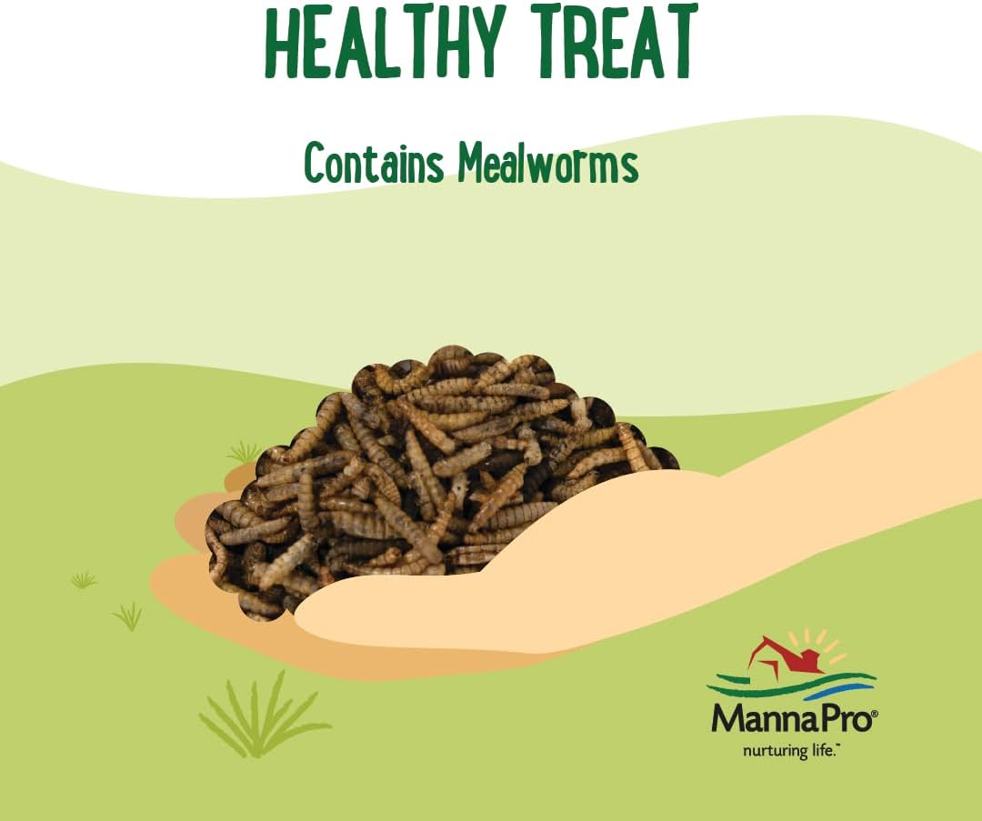 Manna Pro Mealworms Poultry Treat - High Protein, 100% Natural, 10oz