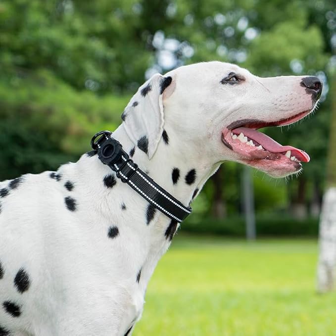 JSXD AirTag Dog Collar, Night Reflective Nylon Dog Collar for Small Medium Large Dogs,Lockable Quick Release Buckle,Padded Breathable Pet Collar with AirTag Holder (Orange, Small)