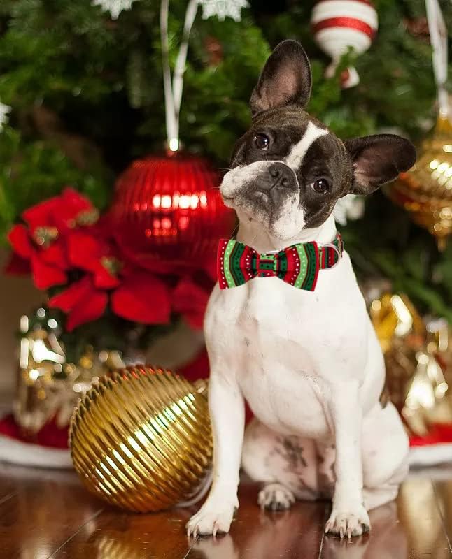 Lionet Paws Christmas Dog Collar with Bowtie, Dog Bowtie Collar with Metal Buckle for Dogs, Adjustable Comfortable Dog Collar Girl Boy Gift, L, Neck 16-24 in