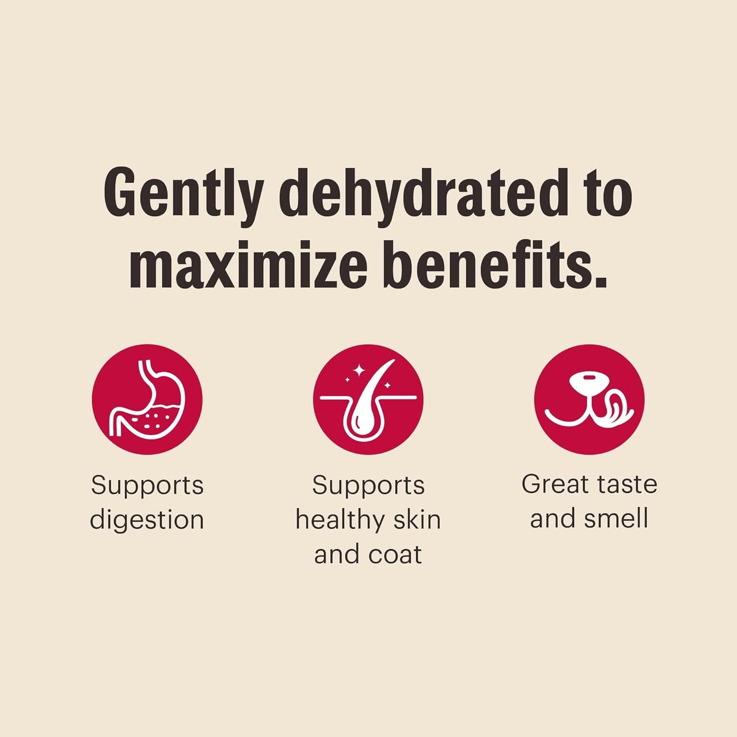 The Honest Kitchen Wholemade™ Grain Free Beef Dog Food, 10 lb Box