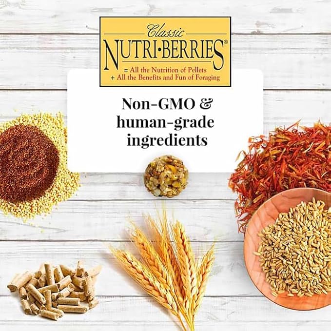 Lafeber's Classic Nutri-Berries for Macaw / Cockatoo 3.5 lb. Tub