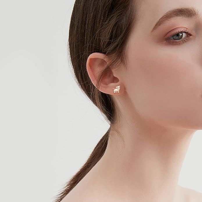Sterling Silver Cat / Cow / Pig / Bunny / Squirrel / Giraffe / Highland Cow / Lion / Chicken / Ladybug / Star / Moon Stud Earrings for Women Cute Animal Post Earrings Hypoallergenic Animal Jewelry Gift for Teens Girls