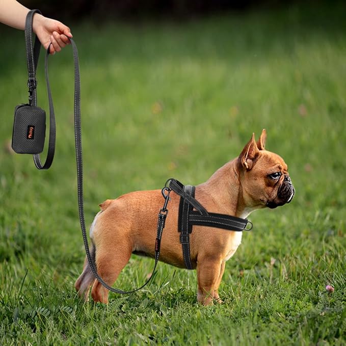 Didog No Pull Dog Harness with Soft Mesh Padded,Reflective & Quick Fit Light Weight Dog Strap Vest Harness,Easy for Walking Training (L:Chest 26-32", Mesh-Black)