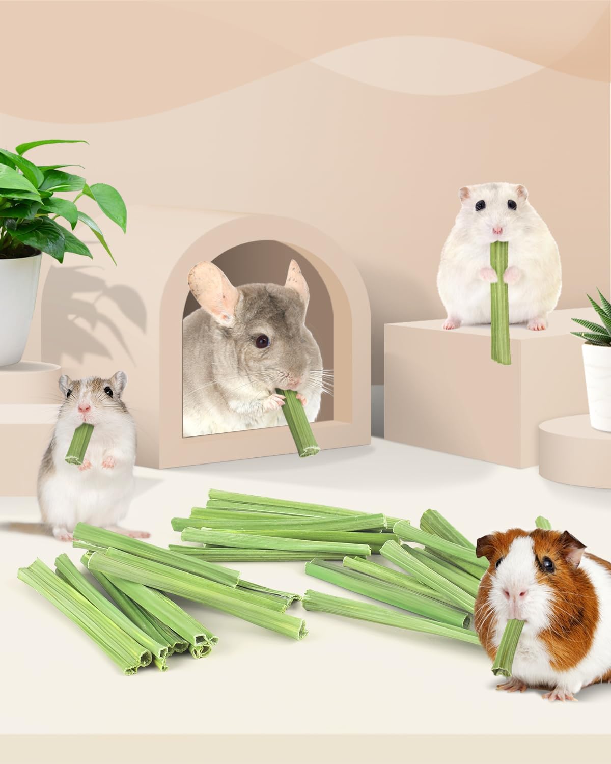 Bissap 25 PCS Guinea Pigs Chew Sticks, Natural Papaya Stems Bunny Chews Treats for Hamsters Chinchillas Small Animals Organic Molar Chewing Snack