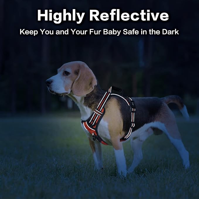 PoyPet No Pull Dog Harness, No Choke Front Clip Reflective Dog Vest with Soft Padded Vertical Handle, 3 Leash Attachments for Small Medium Large Dogs (Orange,M)