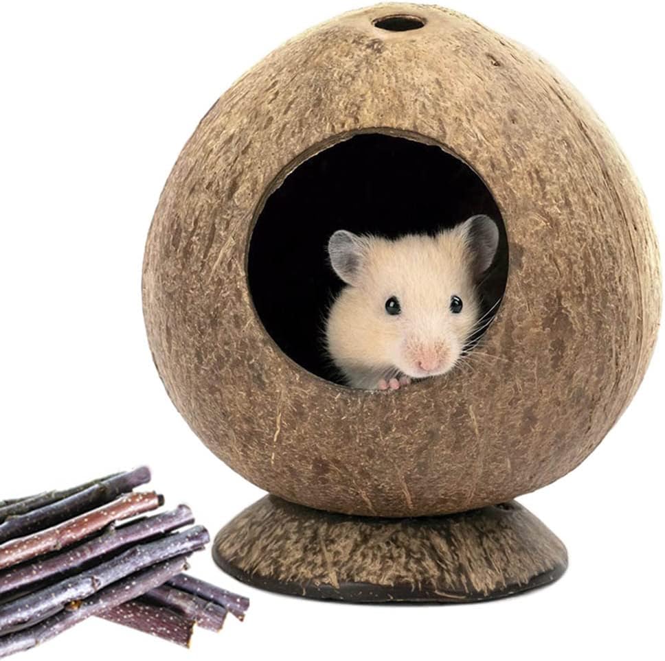 Coconut Hamster Hideout Hamster House Gerbil Cage for Small Animals with a Bundle of Apple Sticks a Carrot (Brown)