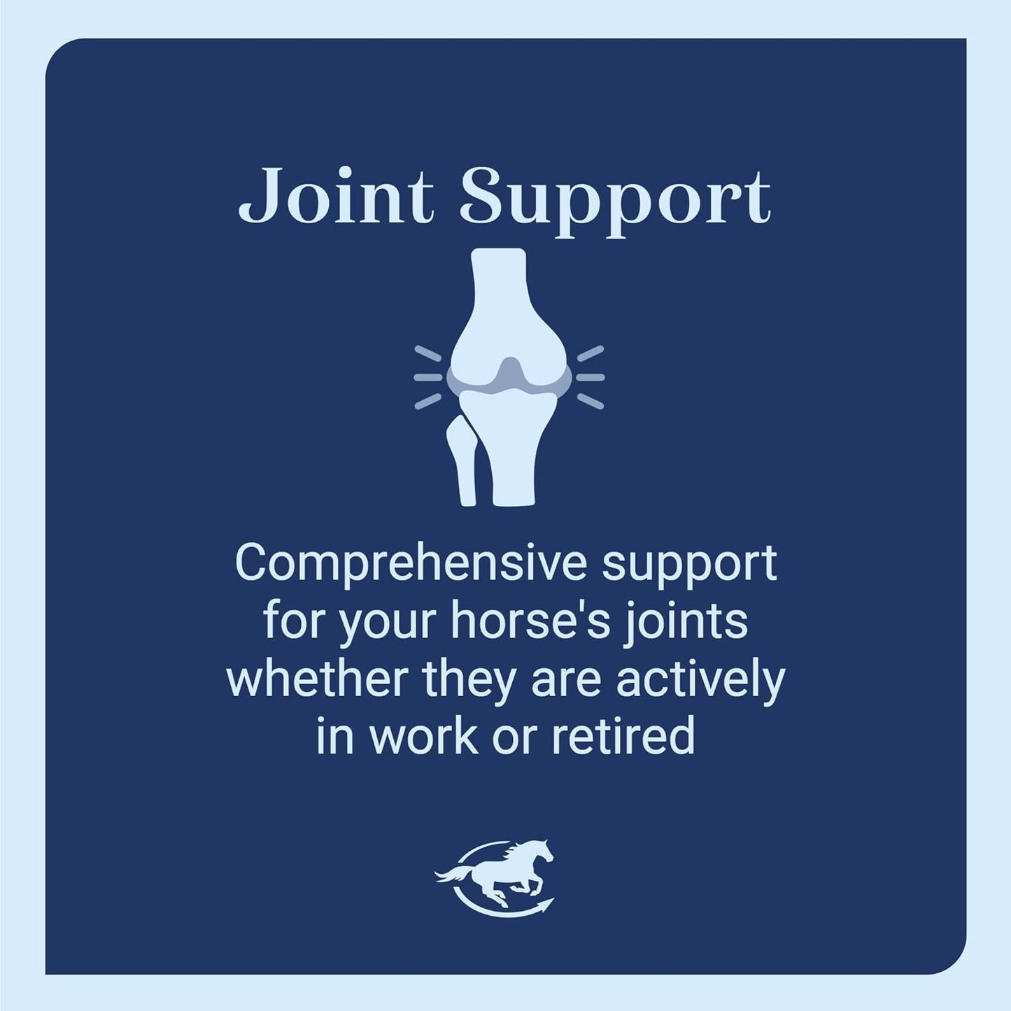 SmartEquine Leg Up Joint Pellets | Joint Support Supplement For Horses | Glucosamine Chondroitin Sulfate and Antioxidants Formula With No Added Sugar | Ideal For Light Work Horses | 45 Servings | 2 lb