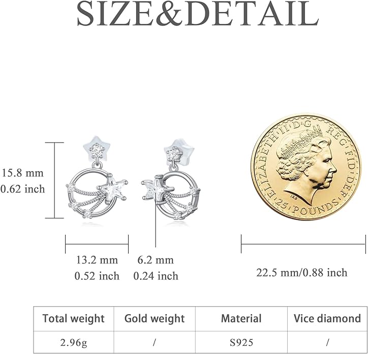 Sterling Silver Cat / Cow / Pig / Bunny / Squirrel / Giraffe / Highland Cow / Lion / Chicken / Ladybug / Star / Moon Stud Earrings for Women Cute Animal Post Earrings Hypoallergenic Animal Jewelry Gift for Teens Girls