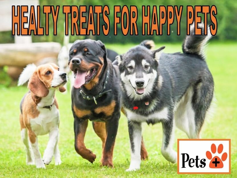 Pets Plus Premium Dog Treats β Pig Ears, 4 Pack | All-Natural, High-Protein Chews for Dogs, Long-Lasting Treats for Dental Health, Training & Boredom Relief