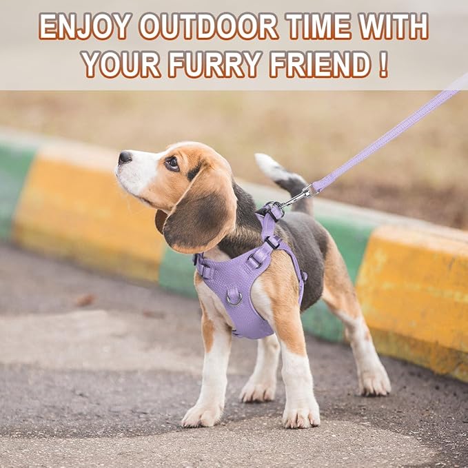 Dog Harness Step in Dog Vest Harness, Reflective Adjustable Puppy No Pull Harness Breathable Soft for Small and Medium Dogs Cats, Violet Purple, XS