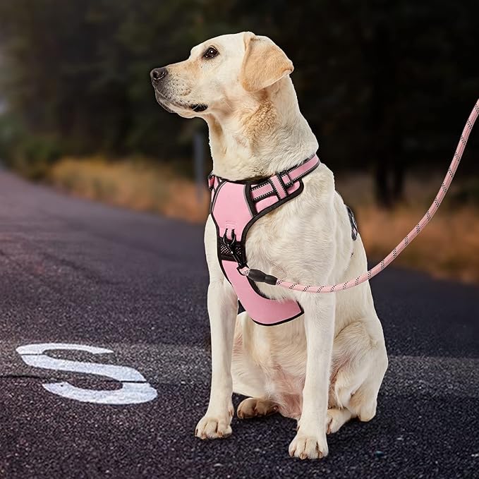 IVY&LANE No Pull Dog Harness for Medium Dogs, Dog Vest Harness with Leash, Safety Belt and Storage Strap, Fully Adjustable Harness, 360° Reflective Strip, Soft Handle (Pink, M)