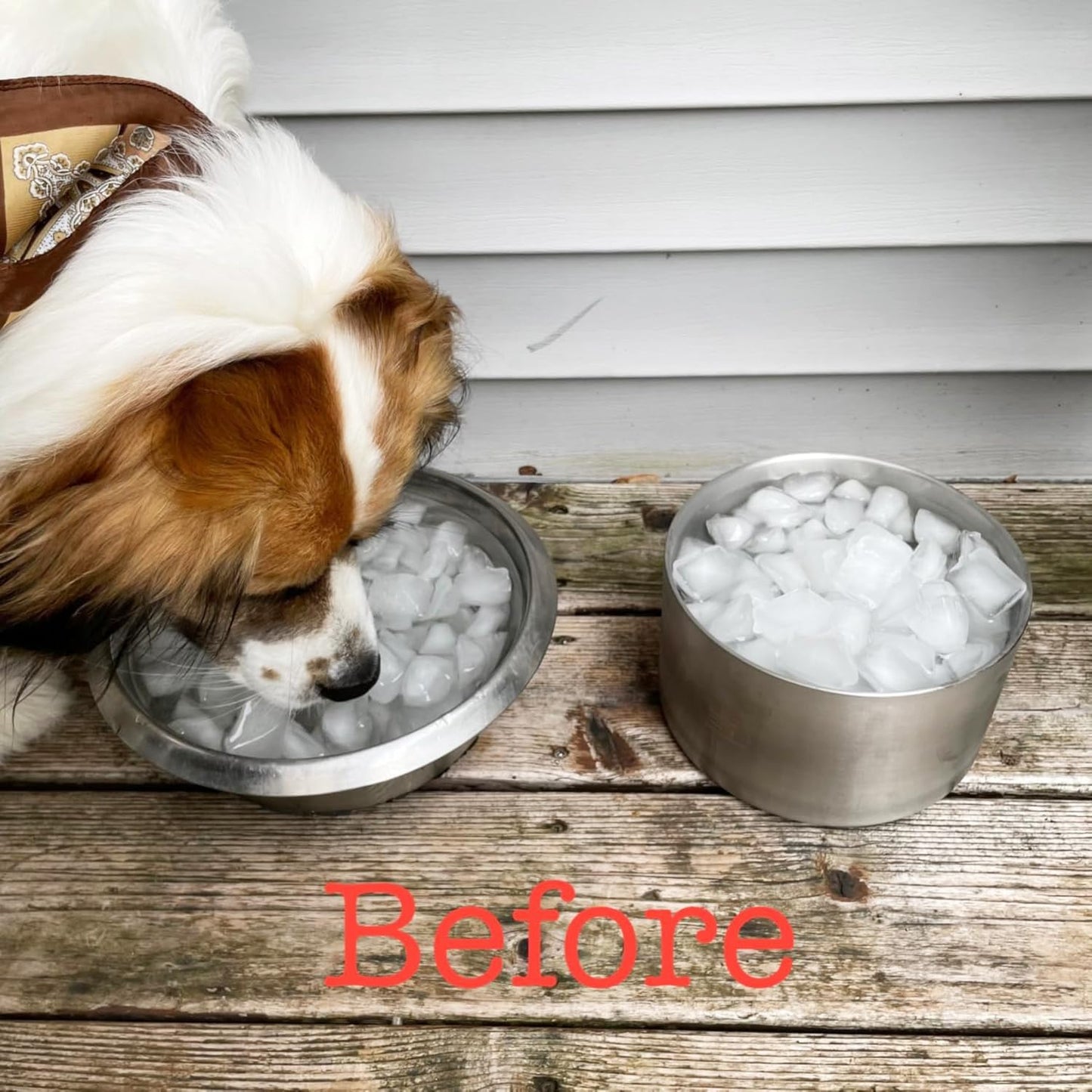 82oz Double Layers 304 Stainless Steel Dog Bowl - Insulated & Durable | Non-Slip Base | Easy to Clean | BPA-Free Safe Dog Food and Water Bowl