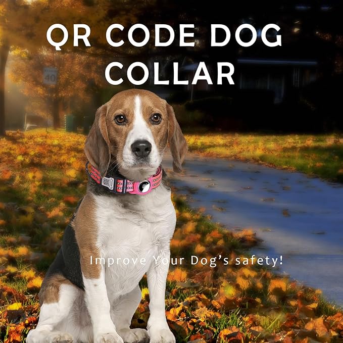 Reflective Dog Collar with Apple AirTag Holder & QR Code Pet ID Tag,Soft Nylon Adjustable Dog Tracker Collar with Safety Lock for Small Dogs (Rose Red, S)
