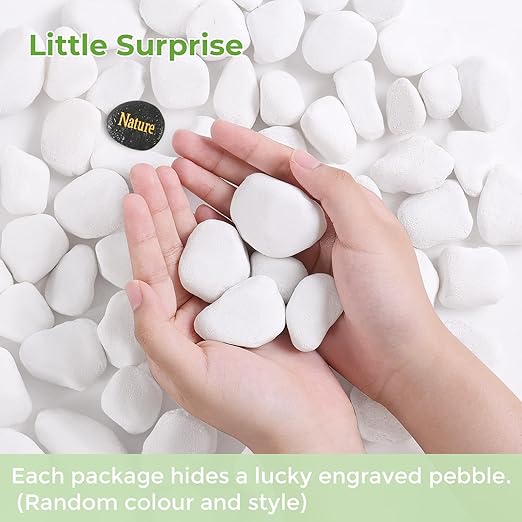 SIDONG 5 lbs White River Rocks, 1.2-2 Inches Pebbles for Indoor Plants, Aquarium Rocks Used in Fish Tank, Decorative Stones for Plants, Vases, Home DΓ©cor, Crafting, Garden Landscaping