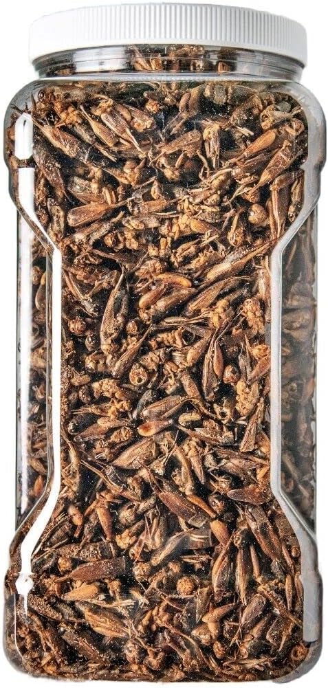 Aquatic Foods Inc. Crickets - Freeze Dried Crickets for Tropical Fish, Reptiles, Turtles, Tortoises Frogs, Hamsters, Birds, Rodents…8oz Med Jar