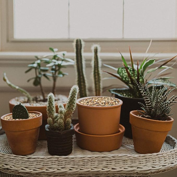 Mr. Fireglass Polished Pebbles, 3/8" Natural Decorative Mixed Color Stones Aquarium Gravel River Rocks for Potted Plants, Landscaping and Home Decor (10-lb Bag)