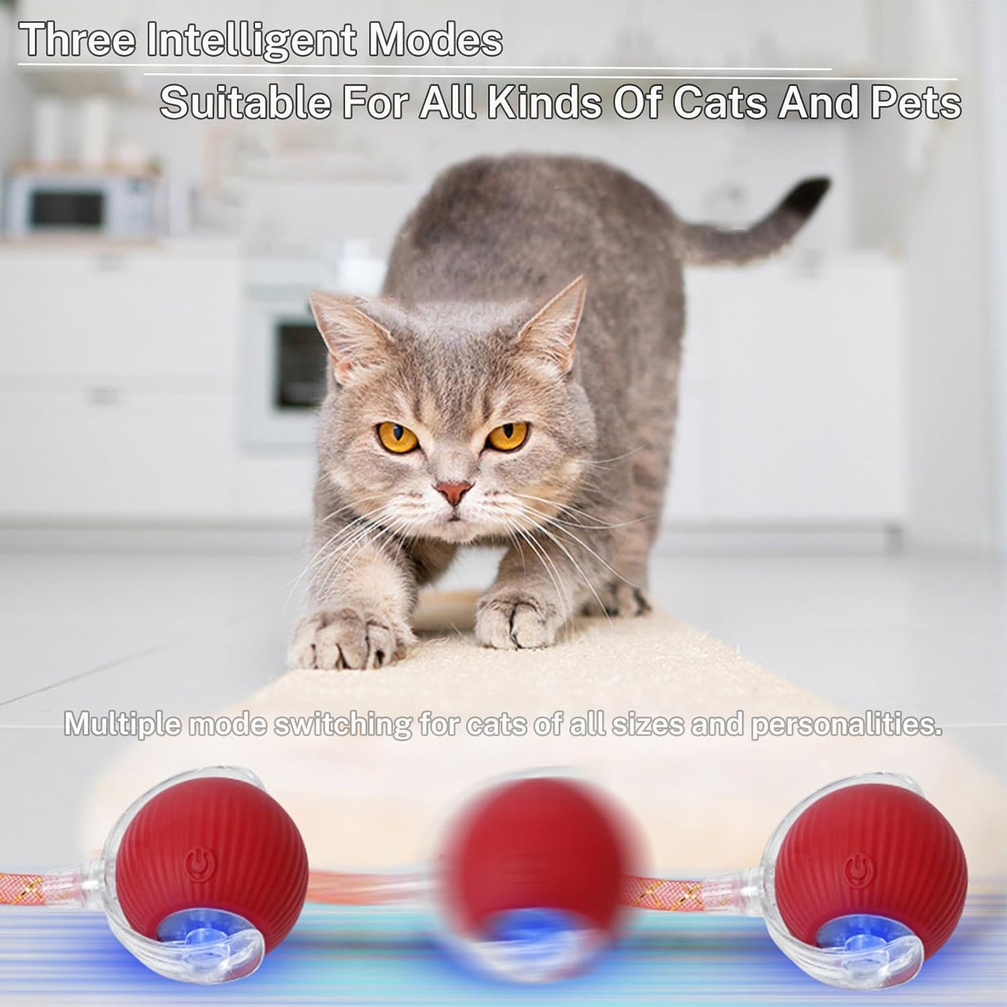 New Upgraded Cat Ball Toy - Speedy Tail 2.0 Cat Toy, Interactive Cat Toy Ball, Stimulating Toys and Juguetes para Gatos, Cat Toys for Bored Indoor(Sound Switchable) (Blue)