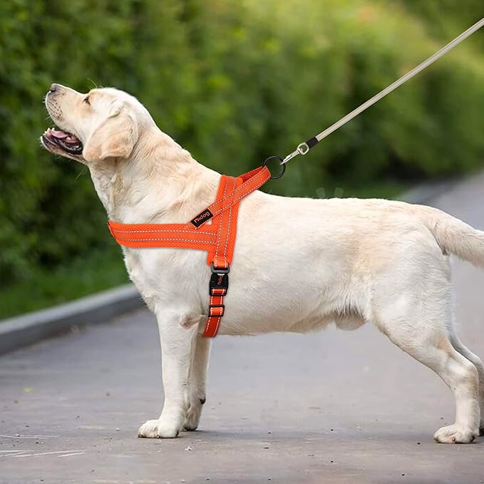 Didog No Pull Dog Harness with Soft Mesh Padded,Reflective & Quick Fit Light Weight Dog Strap Vest Harness,Easy for Walking Training (M:Chest 21-26", Orange)