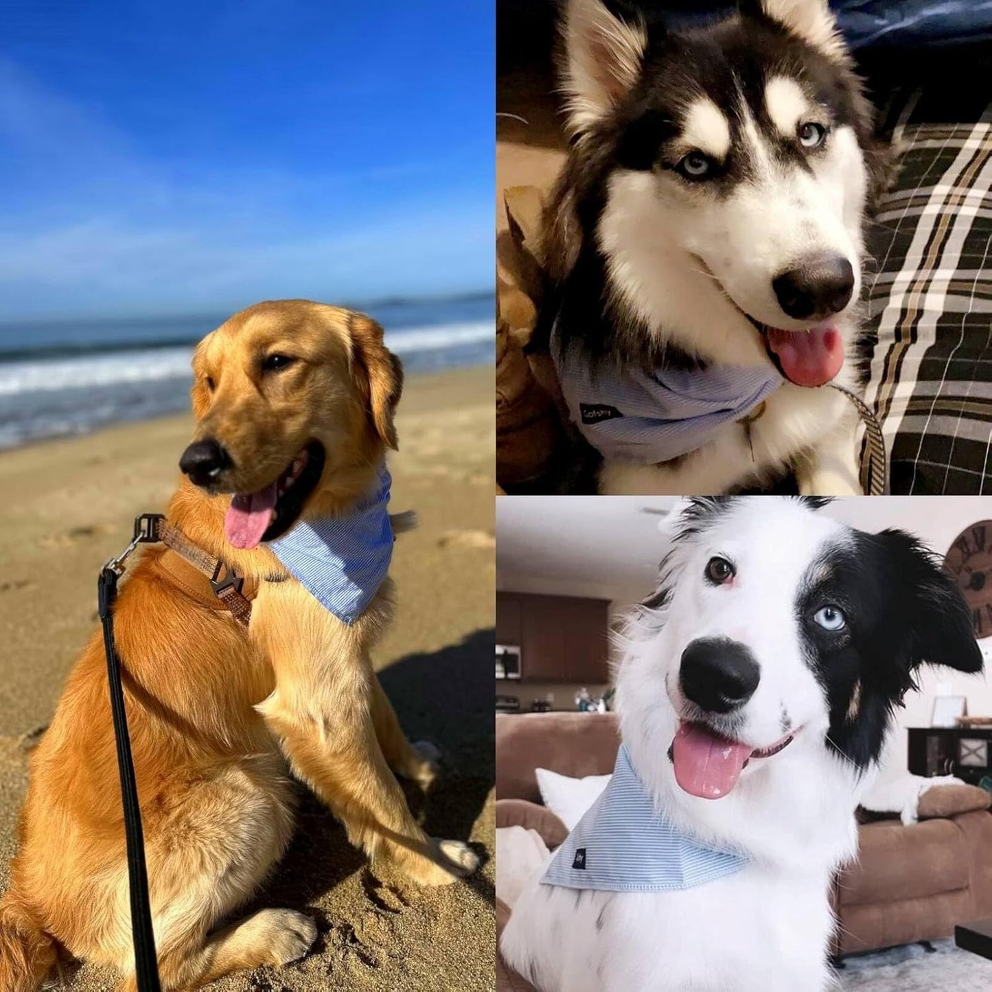 Dog Bandanas-5PCS DIY Bandanas Green Orange Pink Blue Gray Dog Scarfs Breed Bib Handkerchief for Large Medium Dogs Puppies Pets