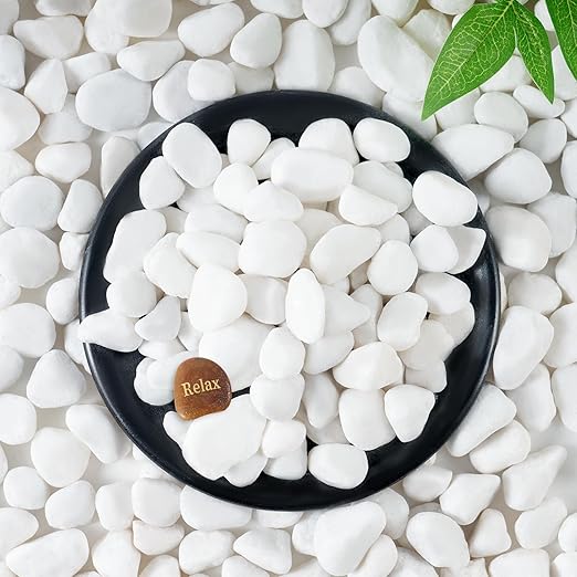 SIDONG 5 LB White River Rocks, 0.4-1.2 Inches Matte Pebbles for Indoor Plants, Aquarium Rocks Used in Fish Tank, Decorative Stones for Plants, Vases, Home DΓ©cor, Crafting, Garden Landscaping