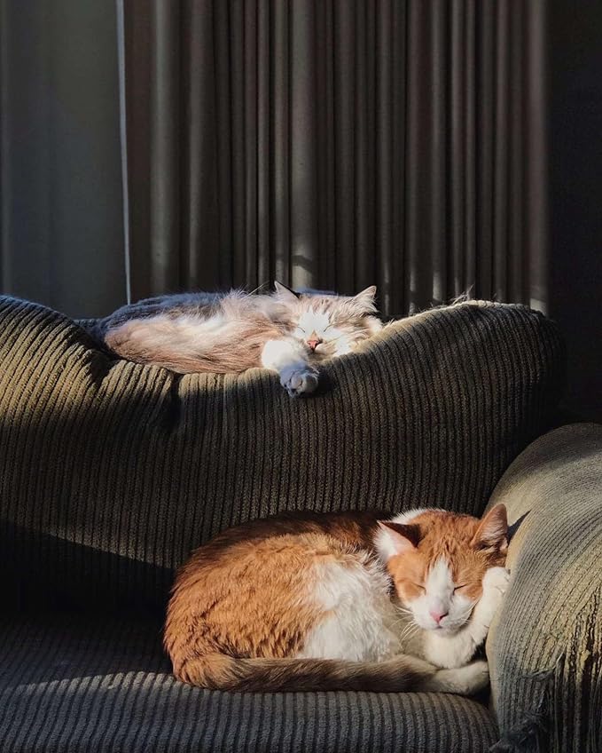 LAIDANLA Sleeping Cat Statue Green Aventurine Healing Gemstone Hand Carved Cute Kitten Statue Figurine 1.6" Decor Polished Stone Reiki Bedroom Office Desk Home Decoration Gifts