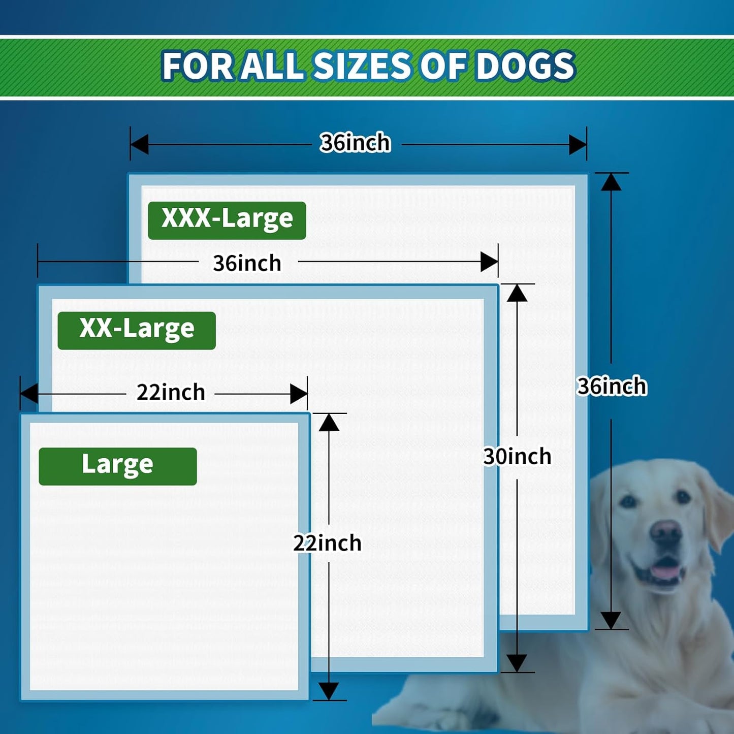 Pee Pads for Dogs, Puppy Pads Pet Training Pads Disposable Upgraded Odor Control, Potty Pads Absorbent and Leak-Proof Dog Housebreaking & Puppy Supplies (22"x22"/30 Count)