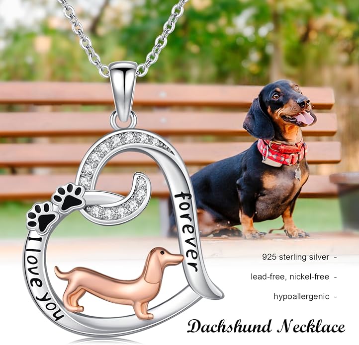 Dog/Paw Print/Infinity Necklace for Women 925 Sterling Silver Heart Dogs Pendant Necklaces Jewelry Christmas Birthday Gifts for Dog Lovers Friends
