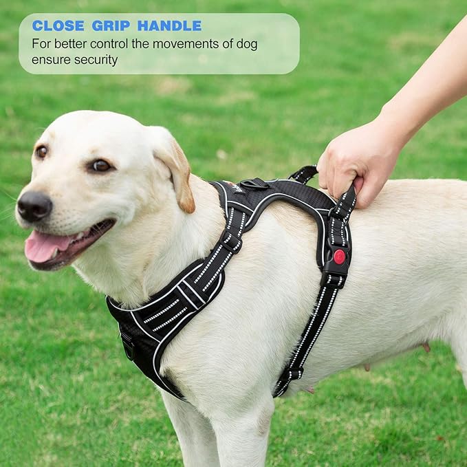 No Pull Dog Harness Adjustable Reflective Oxford Easy Control Medium Large Dog Harness with A Free Heavy Duty 5ft Dog Leash (XL (Chest: 31"-39"), Orange Harness+Leash)