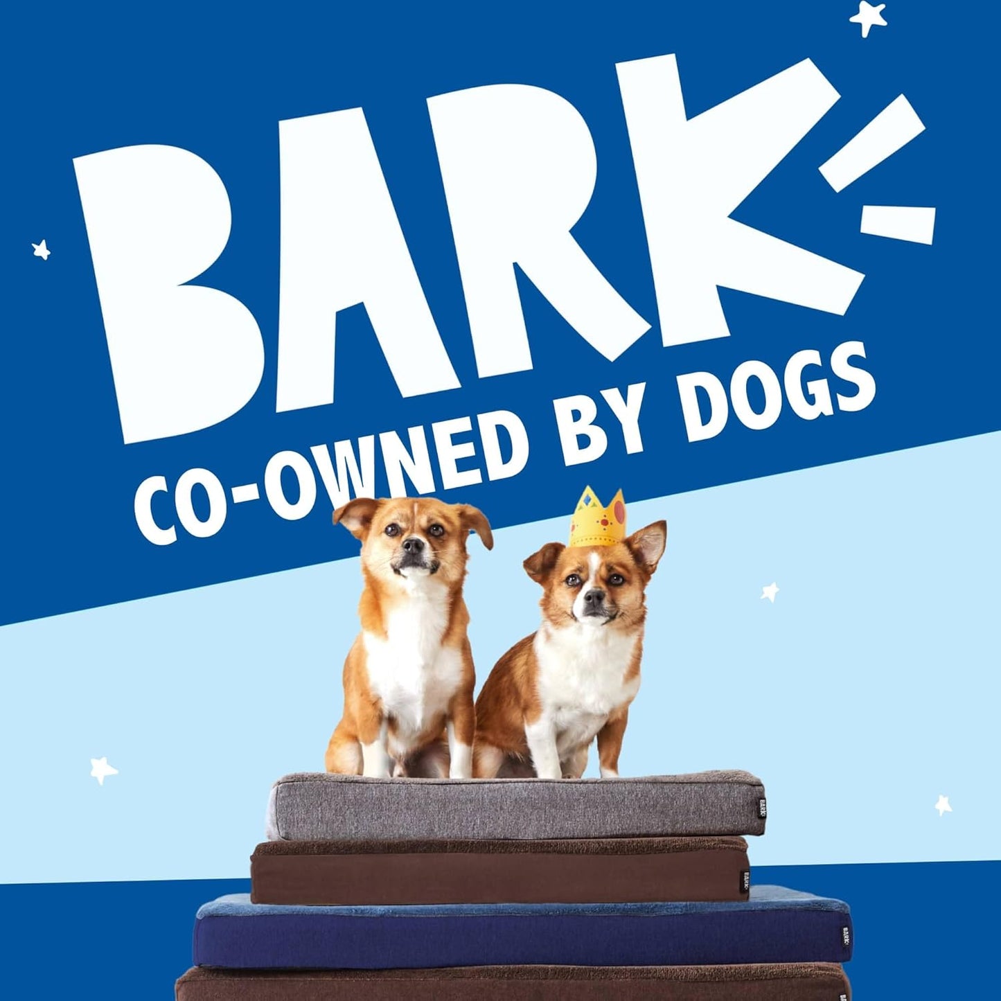 Barkbox Orthopedic Dog Bed with Memory Foam, Premium Comfort for Dogs and Puppies, Dog Bed for Joint Relief and Restful Sleep, Durable and Easy to Clean - Espresso, Medium