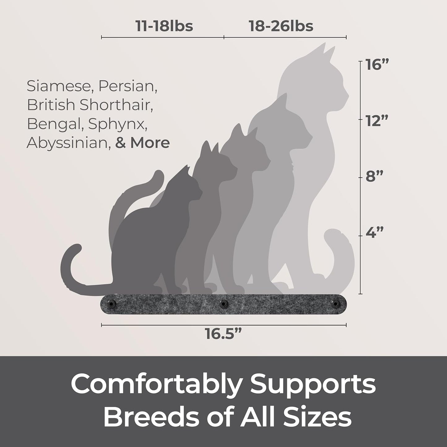 Wall Mounted Cat Perch Long Shelf by Pryde Pets - Floating Hammock Bed, 100% Sustainable PET Felt Feline Enrichment Climber Furniture for Indoor Cats, Modern Climbing Gym Jungle Design (Charcoal)