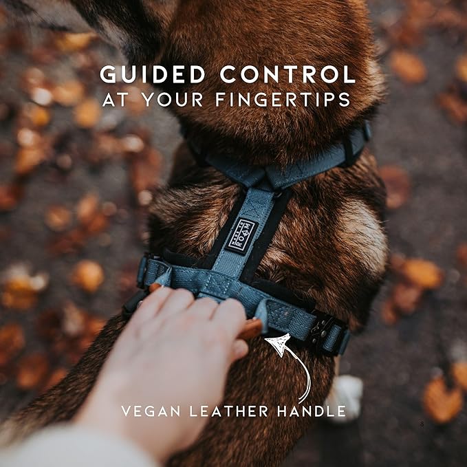 MADE TO ROAM Premium Explorer Harness - Y-Shaped Dog Harness with Adjustable Durable Nylon, Soft Padding, Metal Buckles and Leather Handle for Small, Medium, Large Dogs (Vermont Weekends, Size 6)