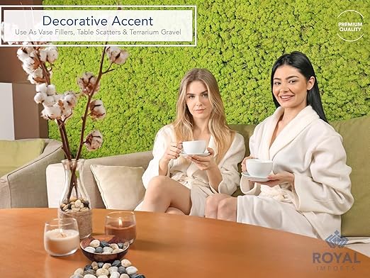 Royal Imports 2LBS River Rocks Decorative Ornamental Pebbles, Garden Landscaping Stones, Gravel Filler for Plants, Vases, Succulents, Home Decor, Aquariums, Crafting, Animal Habitat - Small Natural