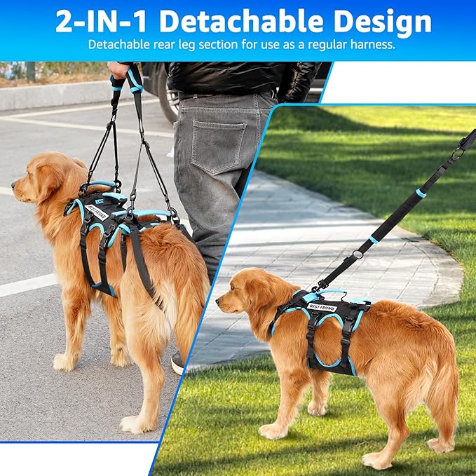 Dog Lift Harness for Medium Male Dogs Friendly, 2 in 1 Detachable Support Harness, Full Body Dog Carrying with 4 Handles for Old/Disabled/Joint Injuries Dogs (Black, Medium)