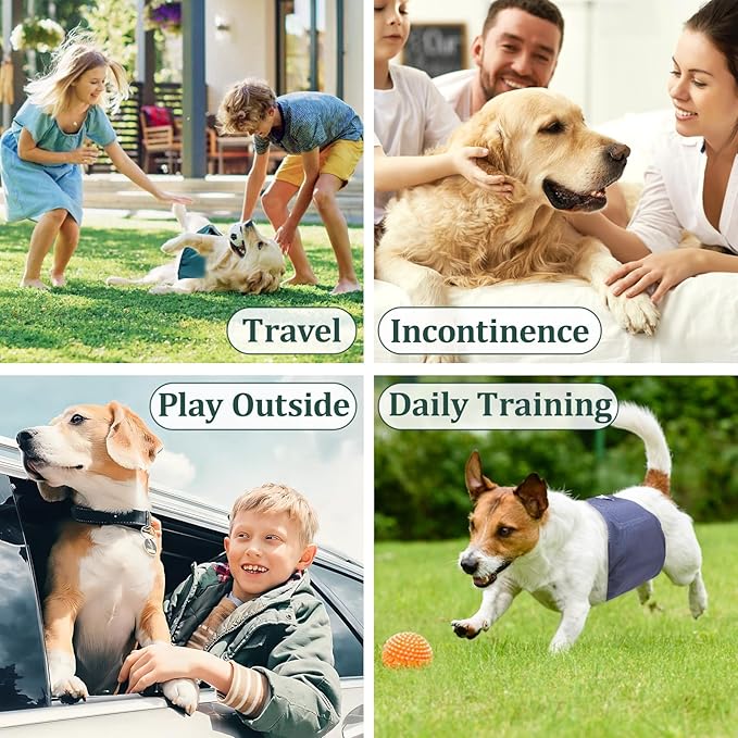 Reusable Dog Diapers Male, Premium Washable Belly Bands for Male Dogs Small, Pack of 5, High Absorbing Male Dog Wraps for Doggie & Puppy in Incontinence or Excitable Urination and Training(S)