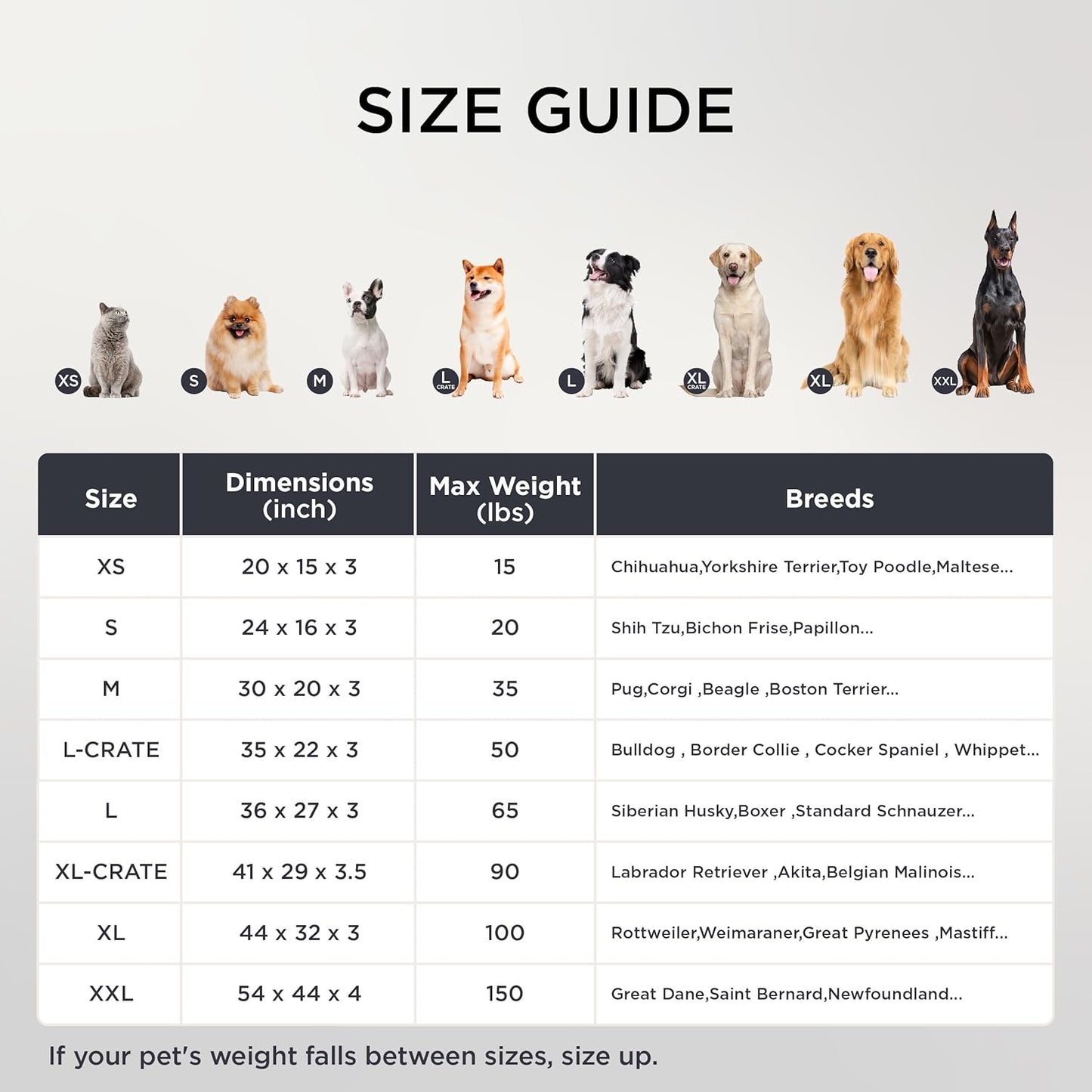 Bedsure Dog Bed for Small Dogs - Orthopedic Flat Puppy Beds with Removable Washable Cover, Egg Crate Foam Pet Mat, Suitable for Pet Up to 20 lbs