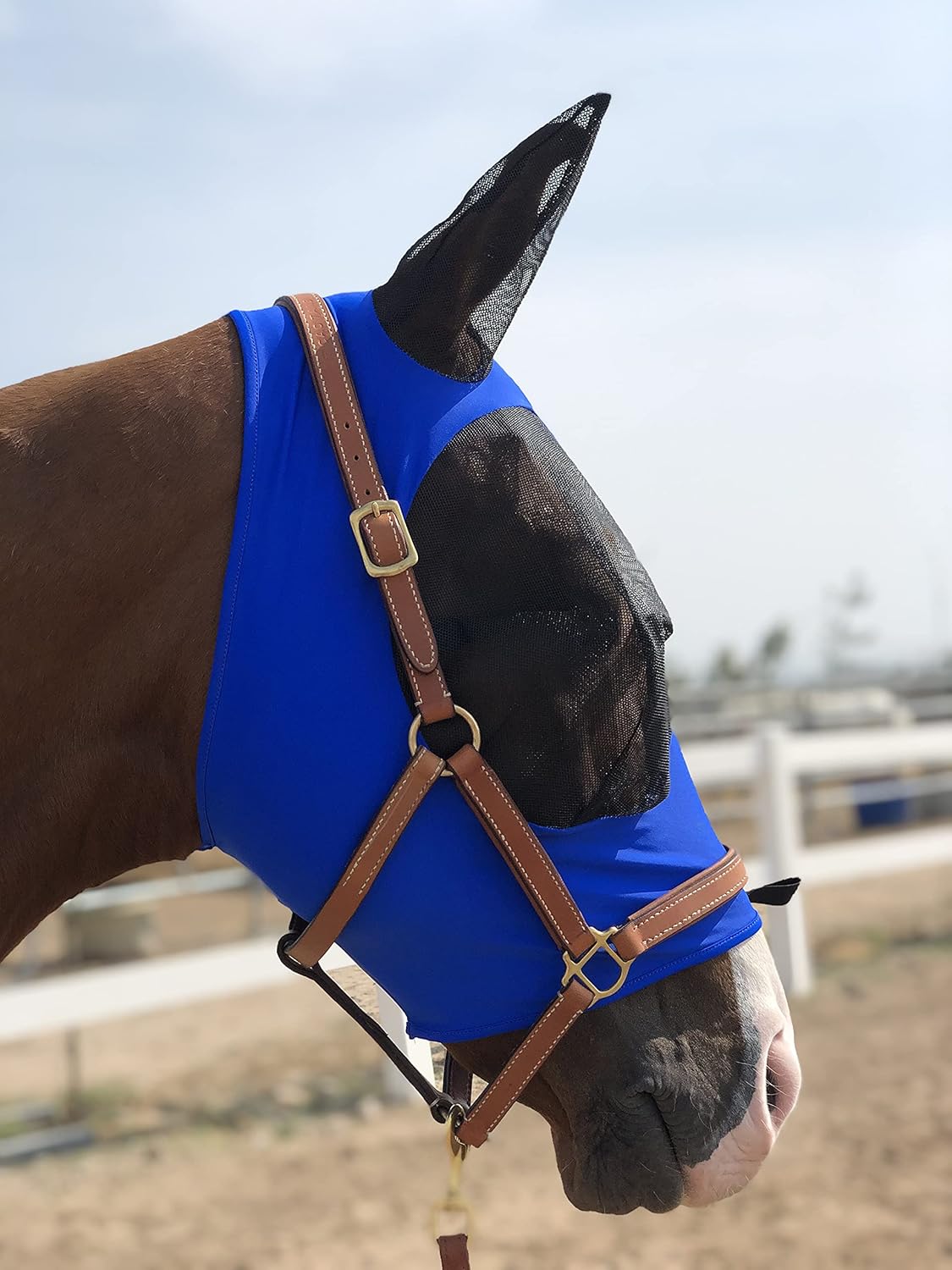 Horse Fly Mask Super Comfort Horse Fly Mask Elasticity Fly Mask with Ears We Only Make Products That Horses Like… (Royal Blue, M)