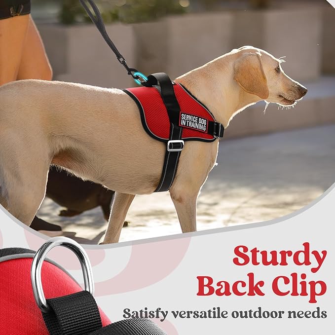 rabbitgoo Dog Harness for Large, Easy On Pet Vest with One Buckle, No Pull Adjustable Service Harness with D-Ring & Handle, Reflective for Safety Walking, Training, Red, L