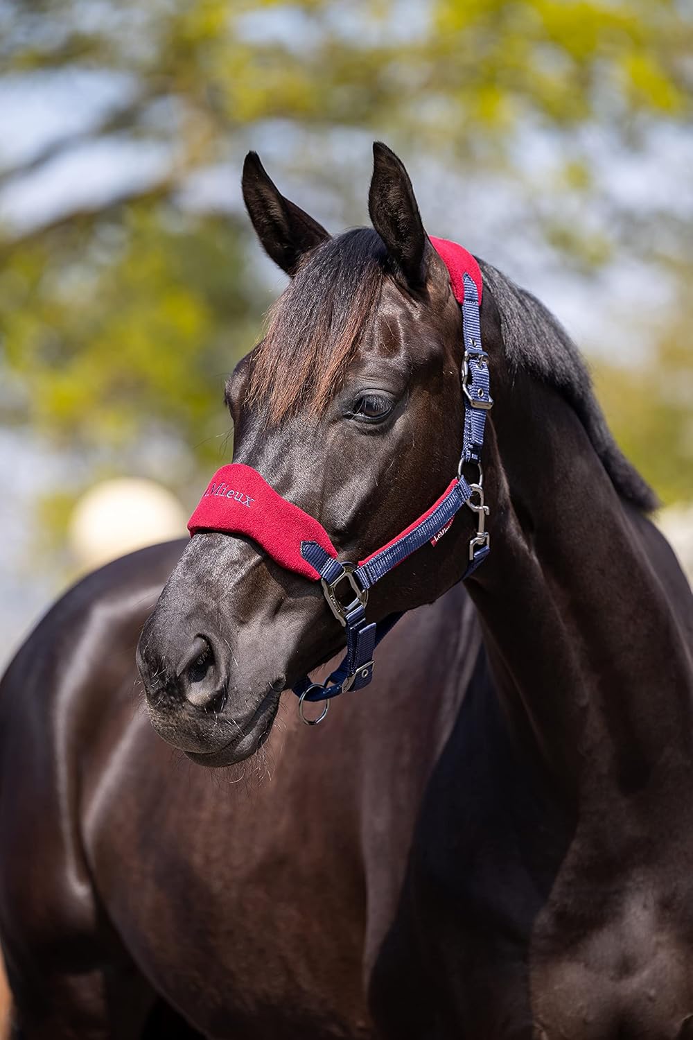LeMieux Vogue Fleece Headcollar - Halter & Leadrope - Extra Padding, Adjustable at Curb and Poll Strap