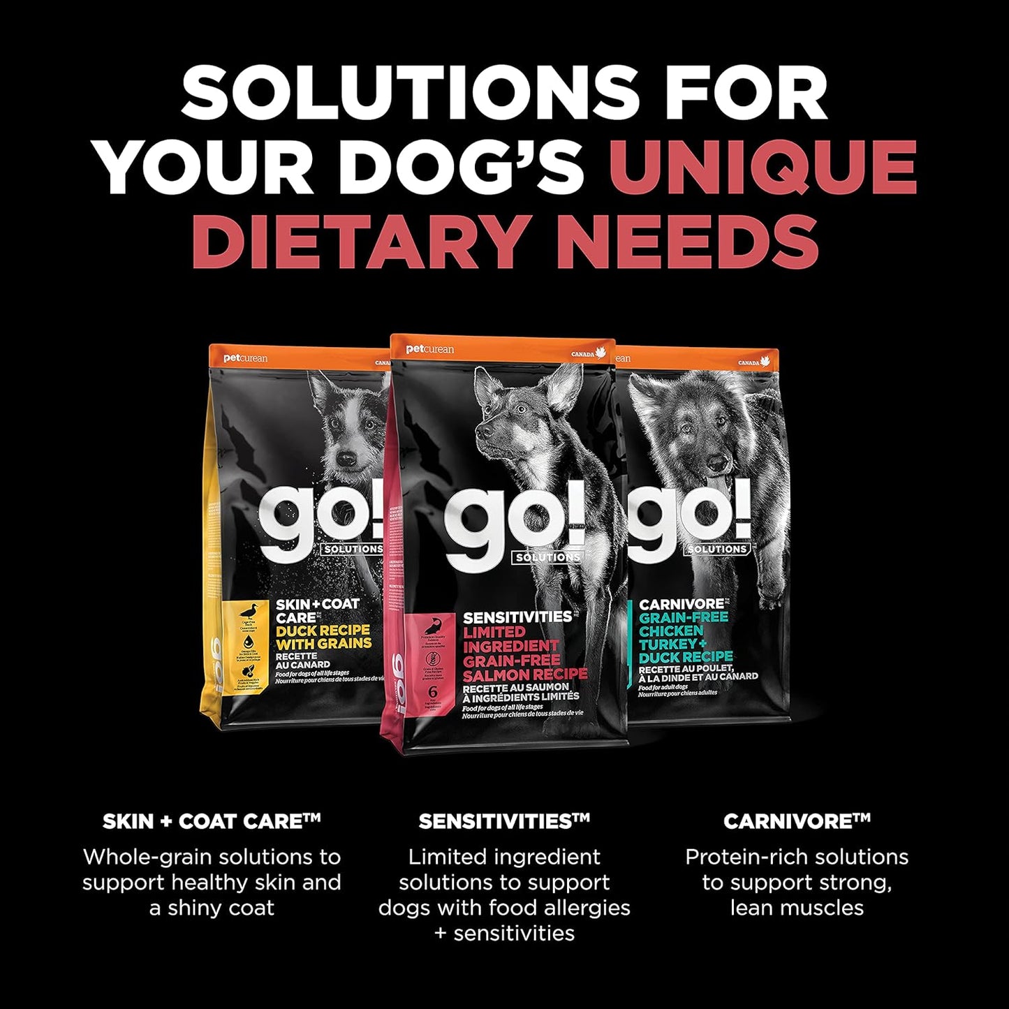 Go! Solutions Sensitivities Limited Ingredients, Grain-Free Dry Dog Food, Salmon Recipe for Sensitive Stomach, 3.5 lb Bag