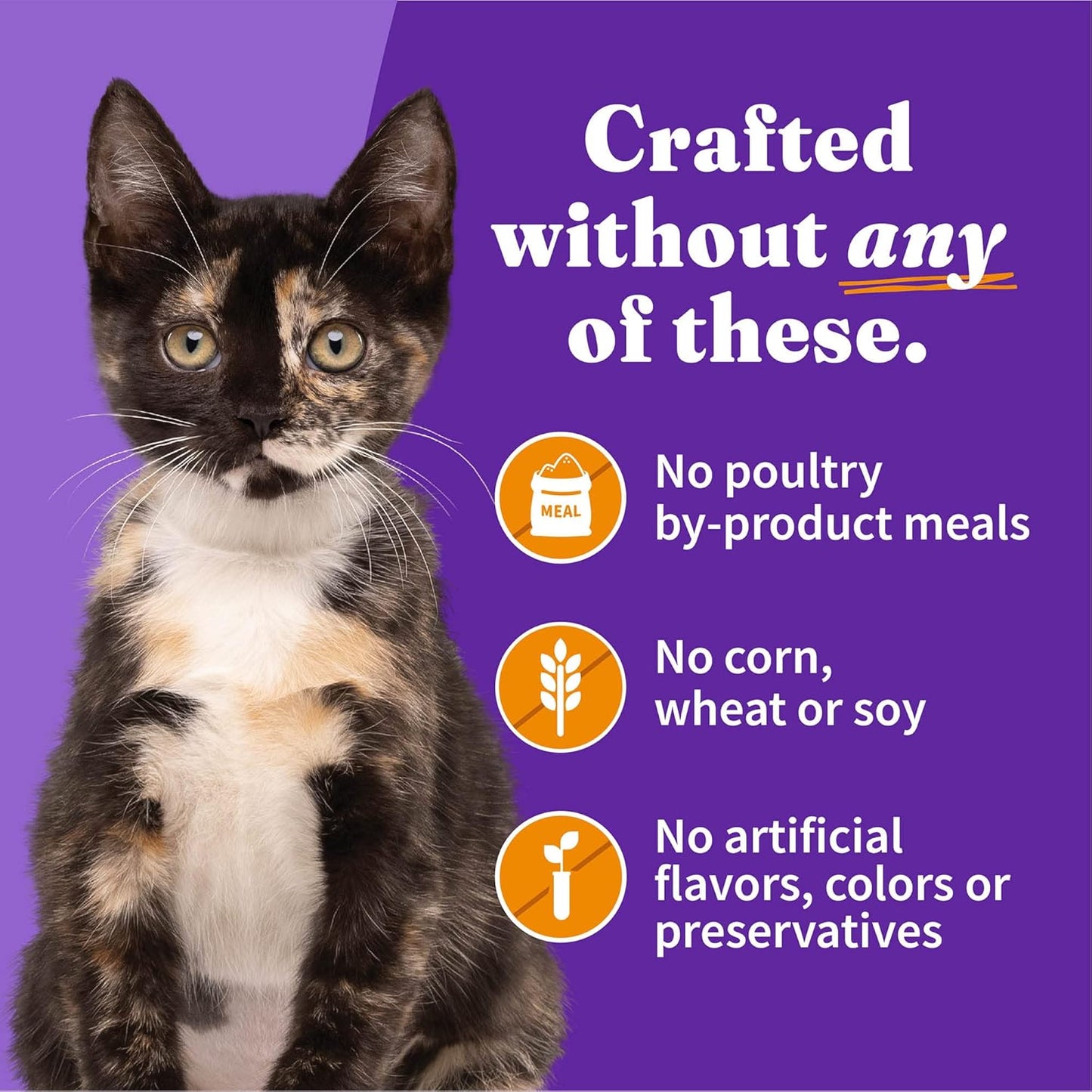 Halo Wet Kitten Food Whole Chicken Recipe, Grain Free Wet Cat Pate, Canned Cat Food to Support Brain Development, 3 Oz Can (Pack of 12)