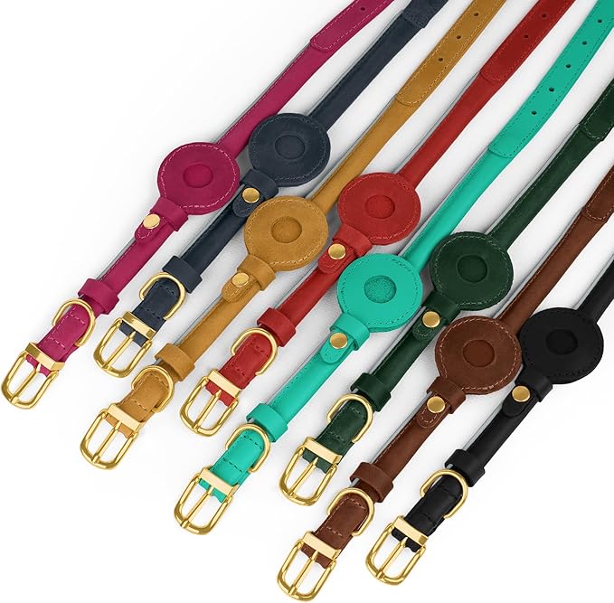 OOPSDOGGY Rolled Leather Dog Collar with Airtag Holder - Reflective Round Airtag Dog Collar - Soft Tracking Pet Collar for Small Dogs Puppy Cats Kitten (Teal, S, 10"-13")