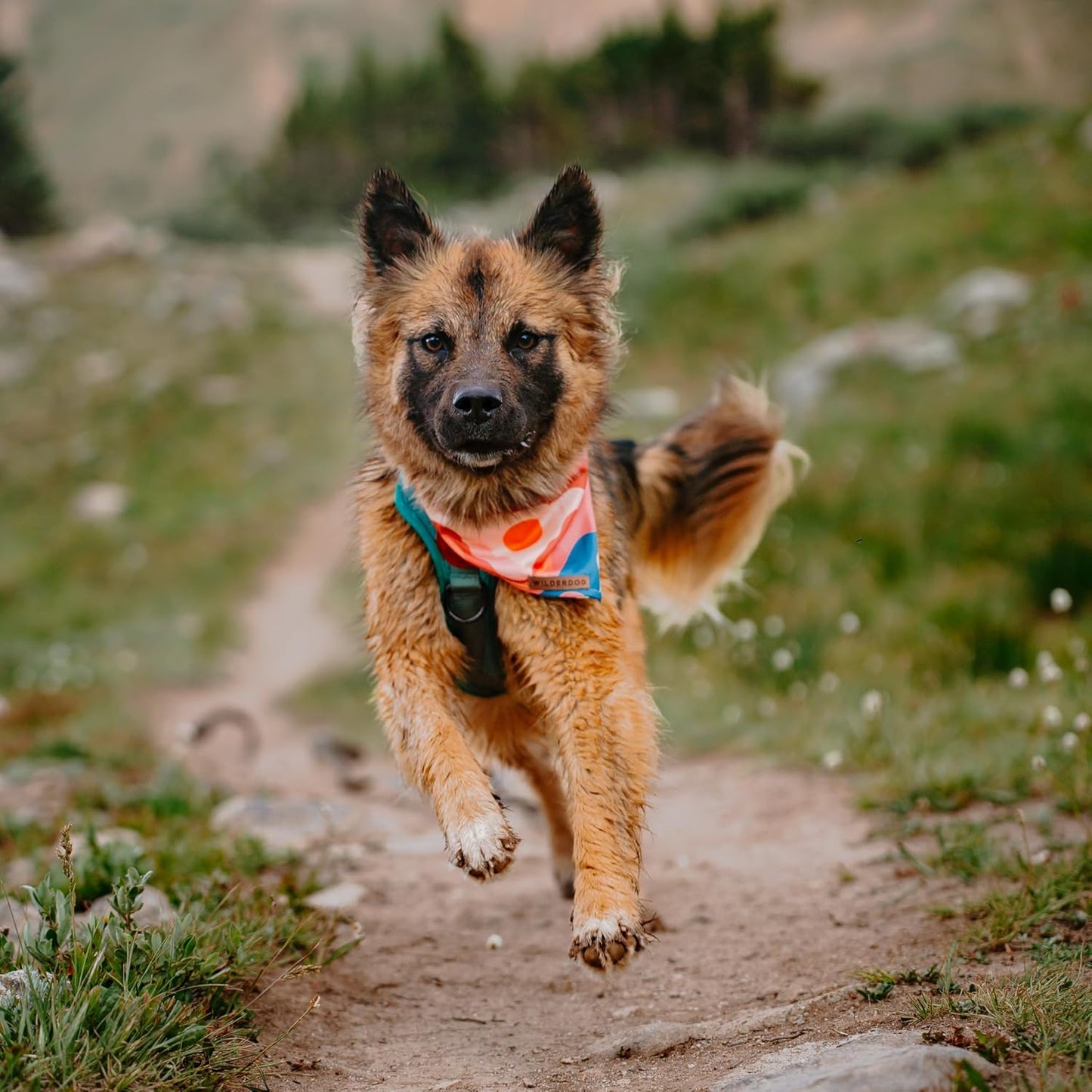 Wilderdog Dog Bandana with Lightweight Quick Drying Poly-Blend Mesh Material in Hazy