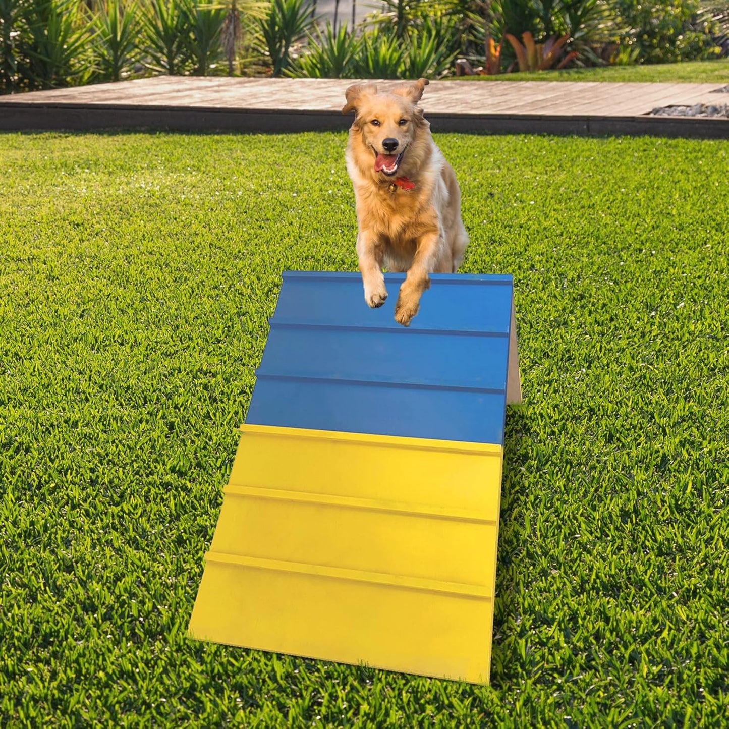 Dogs Agility Course Backyard Set, Dog Agility Equipment, Non-Slip Dog Agility A-Frame, 84” x 24” Large Size