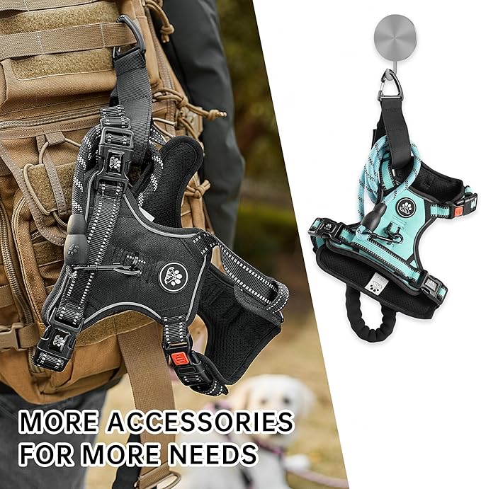 NESTROAD No Pull Dog Harness,Adjustable Oxford Dog Vest Harness with Leash,Reflective No-Choke Pet Harness with Easy Control Soft Handle for Small Dogs(Small,Turquoise)