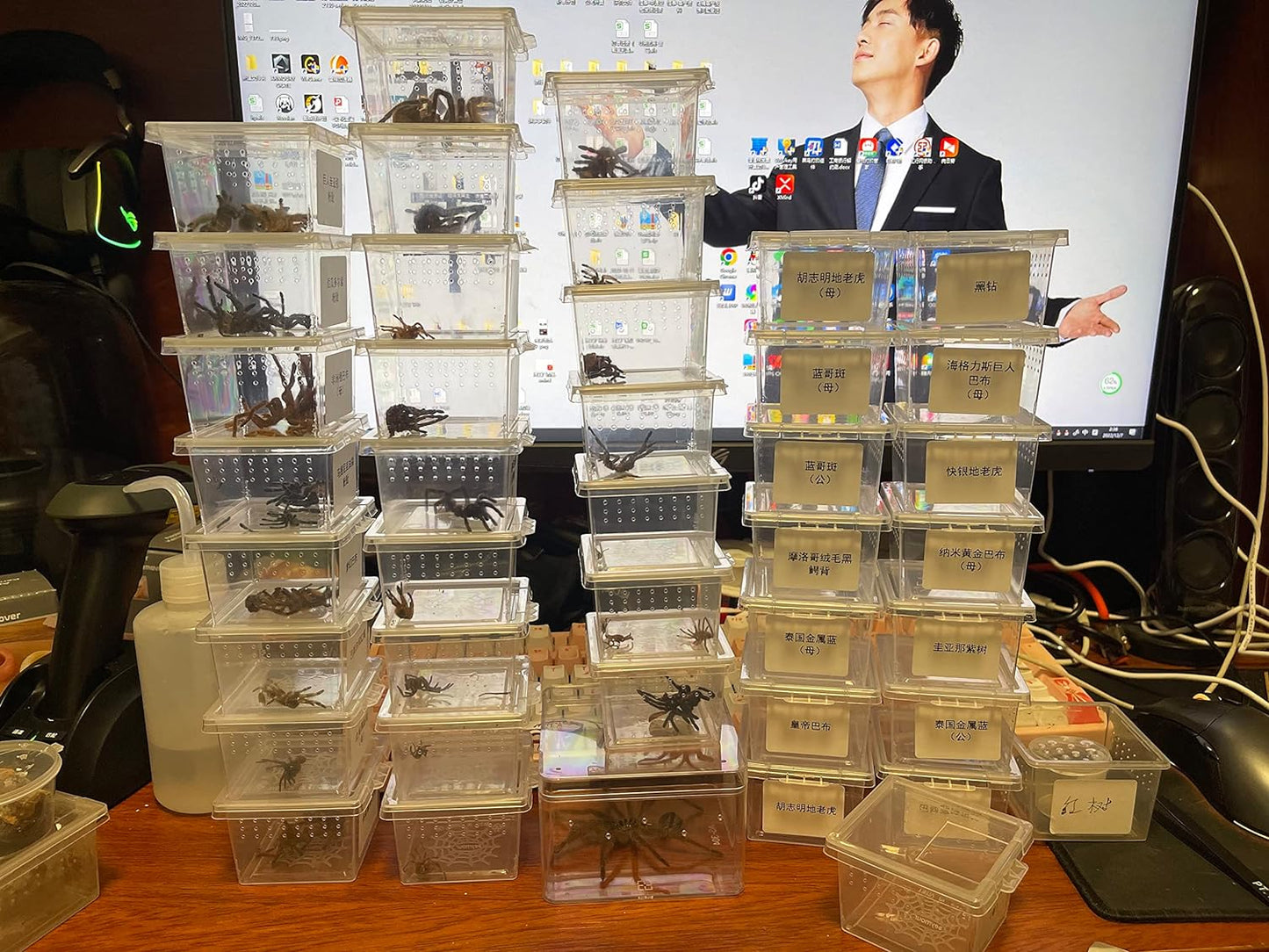 Small Reptile breeding Box Spider Terrarium freeding Box for arboreal Tarantula Scorpion Sling Lizards Mantis Jumping Spider Snail Insect Isopods Terrariums Breeding Box (4high+4small)