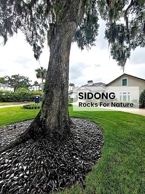 SIDONG 5 lbs Black River Rocks, 1.2-2 Inches Polished Pebbles for Indoor Plants, Aquarium Rocks Used in Fish Tank, Decorative Stones for Plants, Vases, Home DΓ©cor, Crafting, Garden Landscaping