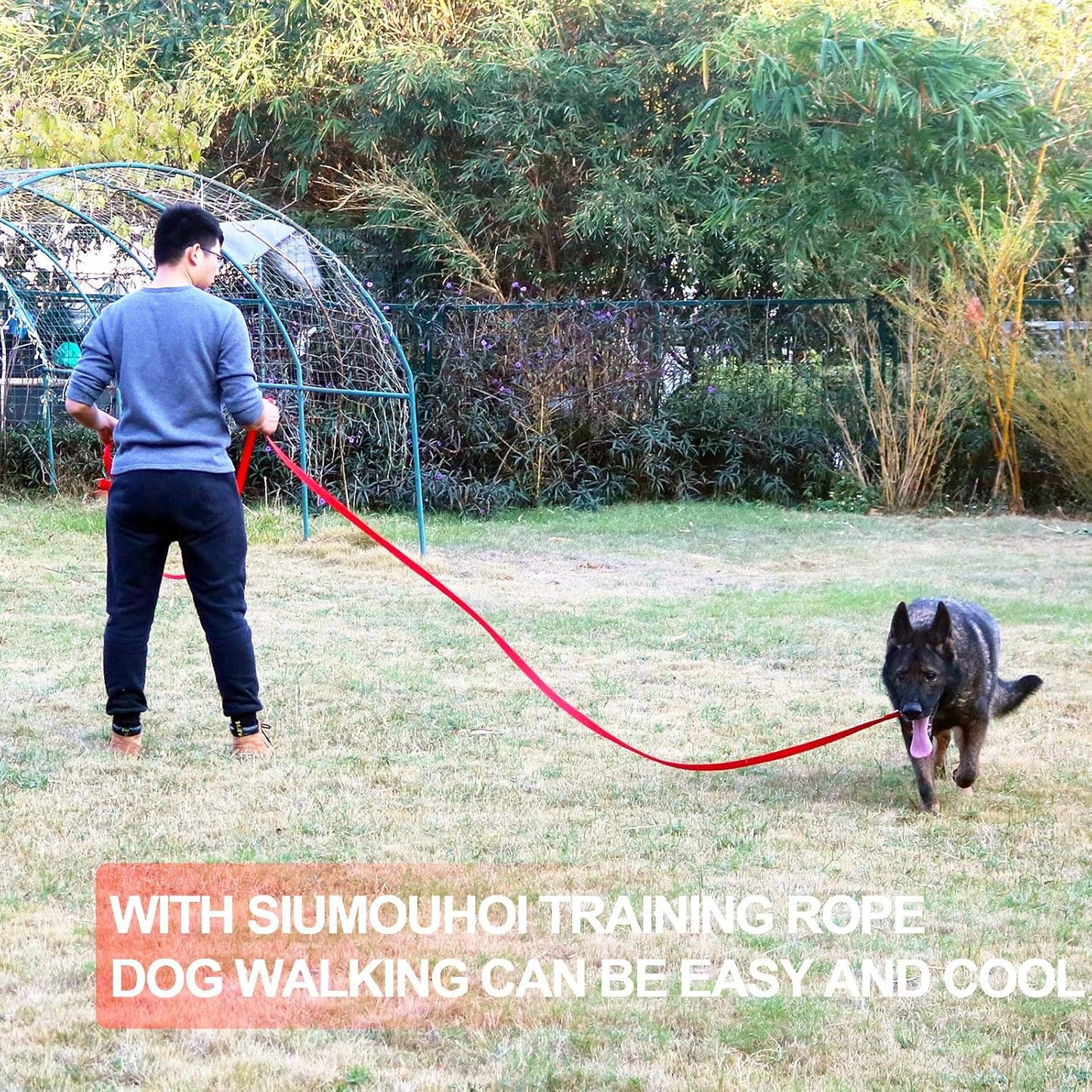 Dog/Puppy Obedience Recall Training Agility Lead -15ft 20ft 30ft 40ft 50ft Training Leash - Great for Play, Camping, or Backyard - Black 50ft