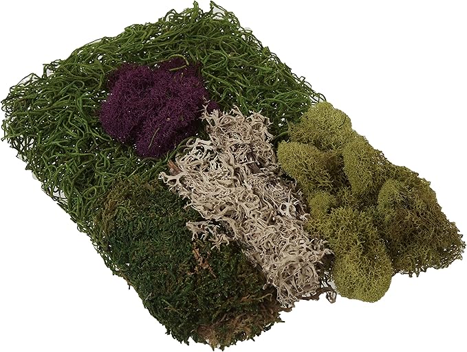 SuperMoss (23310) Moss Mix - Best Sellers, 80.75 Cubic Inch Bag (Appx. 2 Ounce)