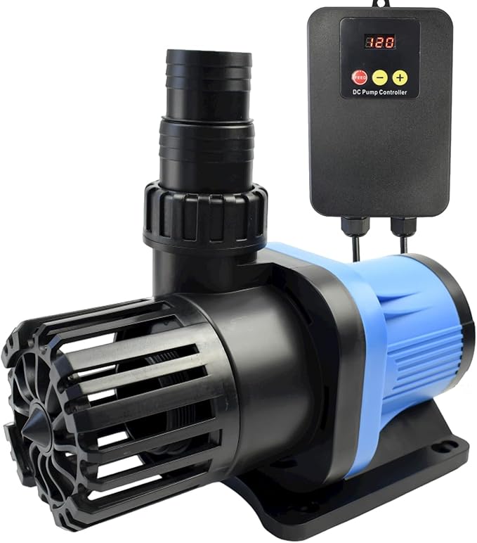 Aquarium Accessories