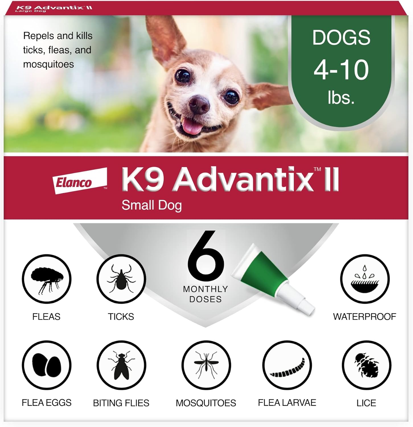 Flea & Tick Control